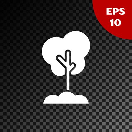 White Tree in the ground icon isolated on transparent dark background. Forest symbol. Vector Illustrationのイラスト素材