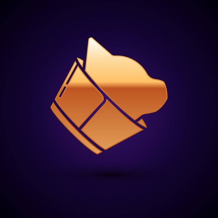 Gold Veterinary clinic symbol icon isolated on dark blue background. Cat veterinary care. Pet First Aid sign. Vector Illustrationのイラスト素材