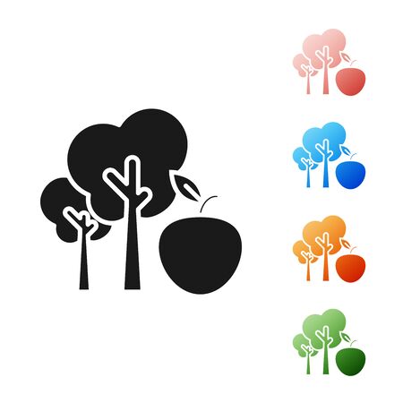 Black Tree with apple icon isolated on white background. Agricultural plant. Organic farm product. Gardening theme. Set icons colorful. Vector Illustrationのイラスト素材
