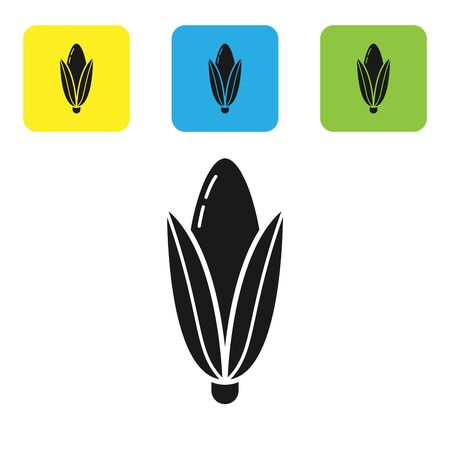 Black Corn icon isolated on white background. Set icons colorful square buttons. Vector Illustrationのイラスト素材