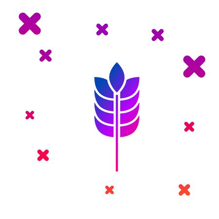 Color Cereals set with rice, wheat, corn, oats, rye, barley icon isolated on white background. Ears of wheat bread symbols. Gradient random dynamic shapes. Vector Illustrationのイラスト素材