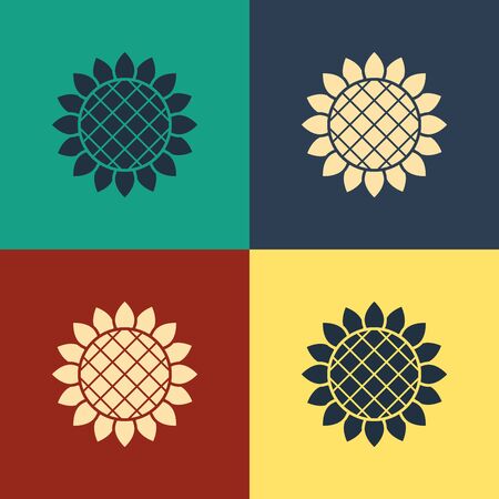 Color Sunflower icon isolated on color background. Vintage style drawing. Vector Illustrationのイラスト素材