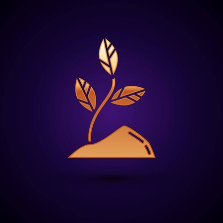 Gold Sprout icon isolated on dark blue background. Seed and seedling. Leaves sign. Leaf nature. Vector Illustrationのイラスト素材