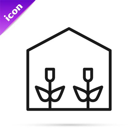 Black line Home greenhouse and plants icon isolated on white background. Vector Illustrationのイラスト素材
