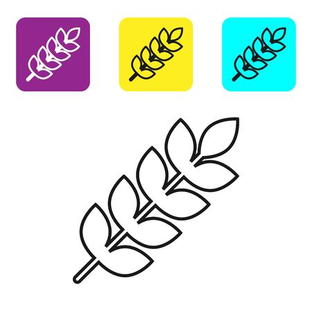 Black line Cereals set with rice, wheat, corn, oats, rye, barley icon isolated on white background. Ears of wheat bread symbols. Set icons colorful square buttons. Vector Illustrationのイラスト素材