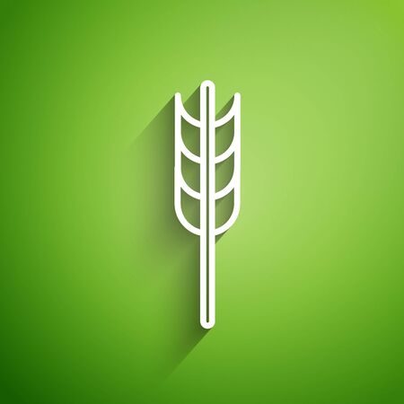 White line Cereals set with rice, wheat, corn, oats, rye, barley icon isolated on green background. Ears of wheat bread symbols. Vector Illustrationのイラスト素材
