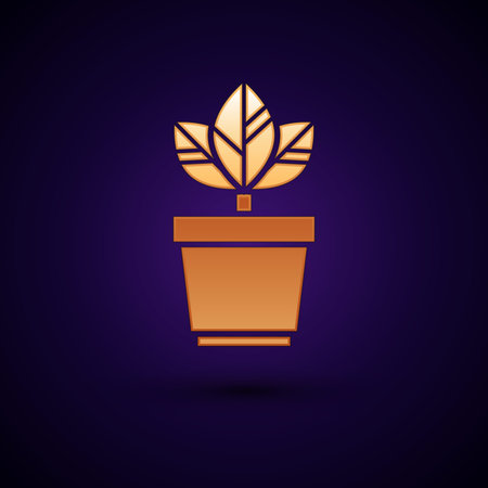 Gold Flowers in pot icon isolated on dark blue background. Plant growing in a pot. Potted plant sign. Vector Illustrationのイラスト素材