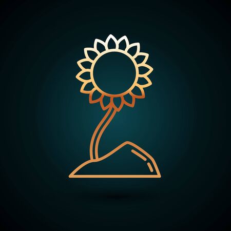 Gold line Sunflower icon isolated on dark blue background. Vector Illustrationのイラスト素材