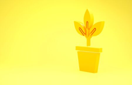Yellow Flowers in pot icon isolated on yellow background. Plant growing in a pot. Potted plant sign. Minimalism concept. 3d illustration 3D renderの写真素材
