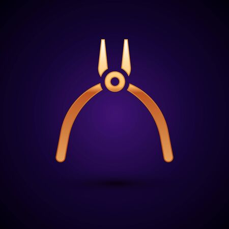 Gold Pliers tool icon isolated on black background. Pliers work industry mechanical plumbing tool. Vector Illustration.のイラスト素材