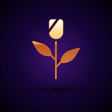 Gold Flower rose icon isolated on black background. Vectorのイラスト素材