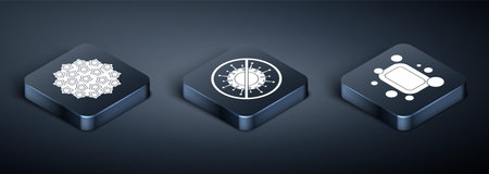 Set Isometric Virus, Bar of soap and Stop virus icon. Vector.