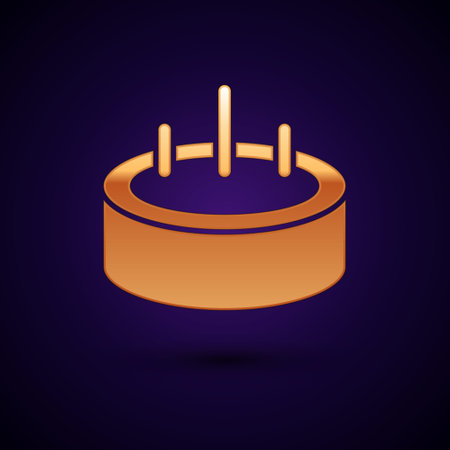 Gold Swimming pool with ladder icon isolated on black background. Vectorのイラスト素材