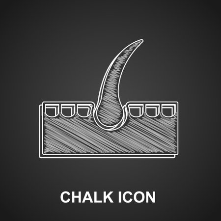 Chalk Human hair follicle icon isolated on black background. Hair care treatment. Vectorのイラスト素材