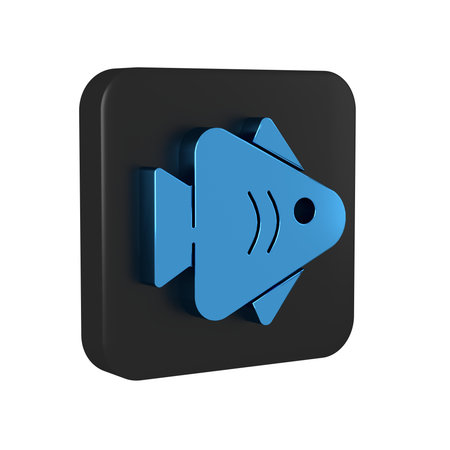 Blue Fish icon isolated on transparent background. Black square button. .の写真素材