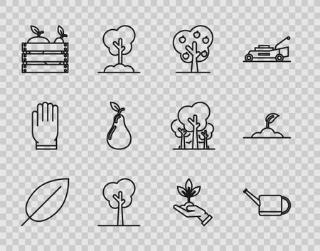Set line Leaf Watering can Tree with apple Wooden box for fruits and vegetables Pear Plant hand of environmental protection and Sprout icon. Vector.のイラスト素材