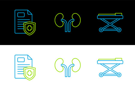 Set line Stretcher Patient record and Human kidneys icon. Vector.のイラスト素材