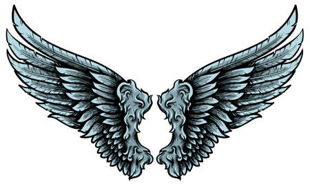 Angelic wings pair vector illustration. Hand drawn feathers with shadows and lights.のイラスト素材