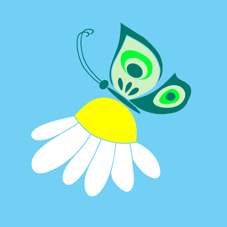 Butterfly on camomileのイラスト素材