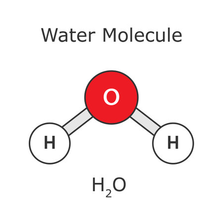 Water Molecule. Molecule Structure. Atomic H2O.のイラスト素材