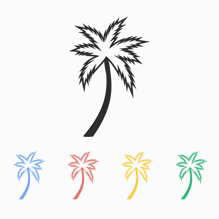 Palm tree  vector icon. Illustration isolated on white  background for graphic and web design.のイラスト素材