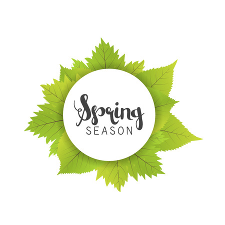 Spring season letter and green leaves vector illustration. White background.のイラスト素材