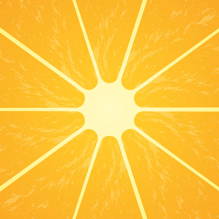 Orange citrus fruit. Healthy vegan food vector illustration.のイラスト素材