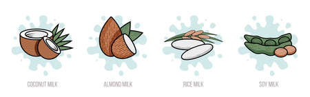 Set of labels with coconut, almond, rice, and soy milk. Vector flat illustration. Vegan dairy products. Collection of packaging design elements for nutritional nutrition isolated on white.のイラスト素材