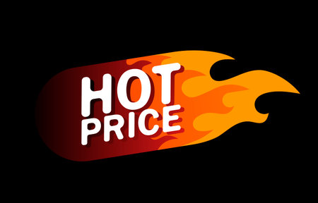 Hot price design template banner. Vector flat illustrations. Frame of a bright red and orange fire on black background. Business advertising strategy to promote goods or services on the market.のイラスト素材