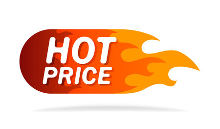 Hot price design template banner. Vector flat illustrations. Frame of a bright red and orange fire on white background. Business advertising strategy to promote goods or services on the market.のイラスト素材