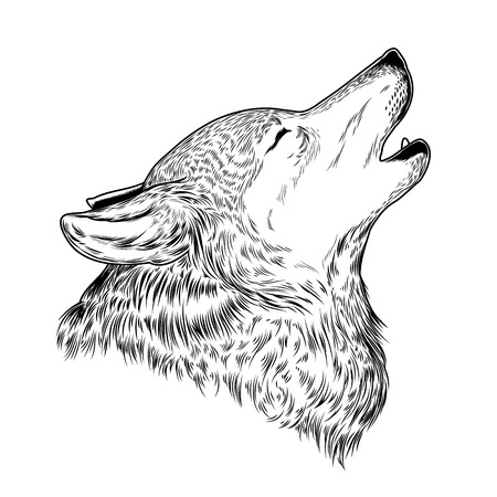 Vector illustration of a howling wolf, engraving. Print for T-shirts.のイラスト素材
