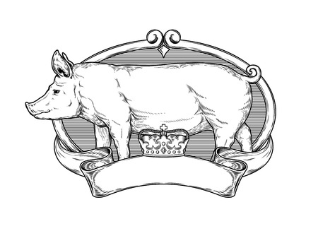 Vector illustration of a pig is made in the style of engravingのイラスト素材