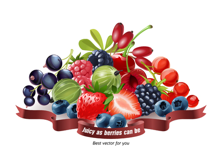 Vector illustration of a mix of fresh berries, strawberries, raspberries, blueberries, currants, gooseberries, blackberries, cherries, goji isolated on white backgroundのイラスト素材