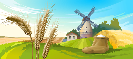 Vector illustration rural summer landscape with a windmillのイラスト素材