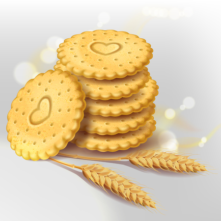 Stack of round biscuit cookies or cracker with heart ornament and wheat ears near them. Vector isolated on white background with light elements. Healthy sweets, whole wheat biscuit.のイラスト素材