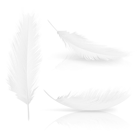 Realistic 3d white bird feathers set. Symbol of lightness, innocence, hope and heaven. Various Angel or bird detailed feathers collection. Vector isolated illustration on a white background.のイラスト素材