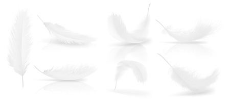 Vector realistic 3d set of white bird or angel feathers in various shapes, isolated on background. Symbol of lightness, innocence, heaven, literature and poetry. Decoration element for your designのイラスト素材