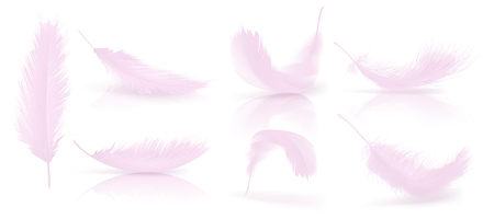 Realistic 3d vector set of pink bird or angel feathers in various shapes, isolated on background. Symbol of lightness, innocence, heaven, literature and poetry decoration element for your design.のイラスト素材