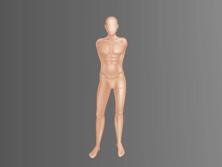 Vector 3d realistic male mannequin - full body without hands. Human figure with muscles for training, athlete equipment. Naked doll, manikin for showcase of boutique, clothing store.のイラスト素材