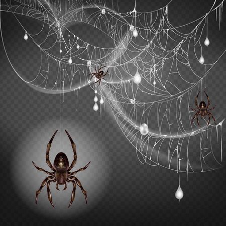 Dangerous, poisonous big and small spiders hanging on thin web string, climbing on lace with hunted and wrapped preys or egg cocoons 3d realistic vector illustration isolated on transparent backgroundのイラスト素材