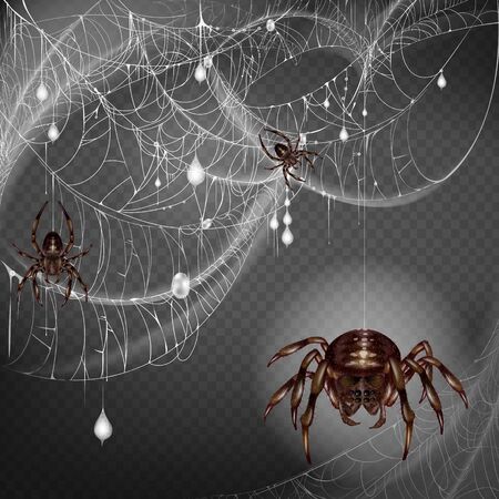 Nest of dangerous and scarifying spiders 3d realistic vector with poisonous big and small arthropods hanging on web string, climbing on lace with hunted and wrapped preys or egg cocoons illustrationのイラスト素材