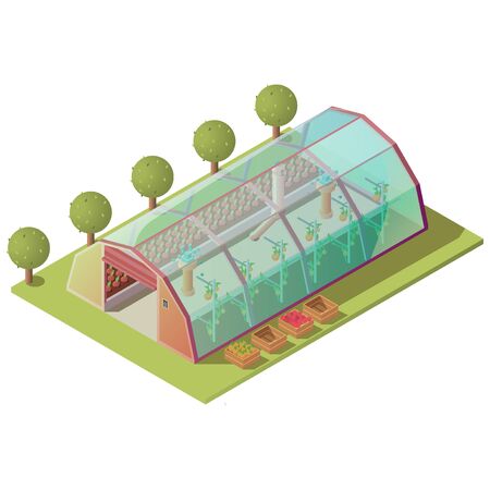 Isometric greenhouse, farm building for growing plants and vegetables with glass windows and automatic lifting door isolated on white background. Hothouse exterior 3d vector illustration, clip artのイラスト素材
