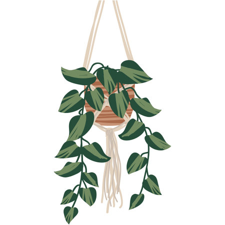Exotic houseplant vector hanging flower flat iconのイラスト素材