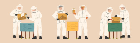 Men and women in beekeepers suit gathering honey at apicultureのイラスト素材