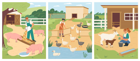 Farmers are engaged in daily tasks, feeding pigs, ducks, and goats while bustling around the farm. The sunny outdoor environment highlights the lively interaction with the animals. Vector set.のイラスト素材
