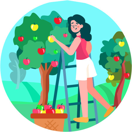 Woman picking apple from tree vector sceneのイラスト素材