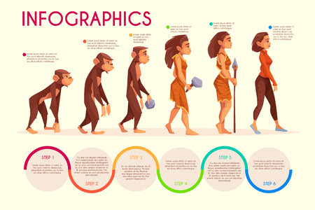 Womens evolution stages cartoon vector infographics. Monkey, female primate walking upright, prehistoric age hunter with stone weapon and modern woman in casual clothing illustration on time lineのイラスト素材