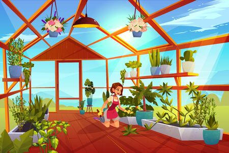 Woman in greenhouse care of garden plants. Girl with shovel in orangery interior with glass walls, windows and wooden floor, place for growing herbs and flowers, inner view Cartoon vector illustrationのイラスト素材