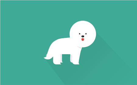bichon frise vector flat illustration clean and simple styleのイラスト素材