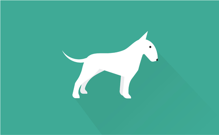 english bull terrier vector flat illustration clean and simple styleのイラスト素材